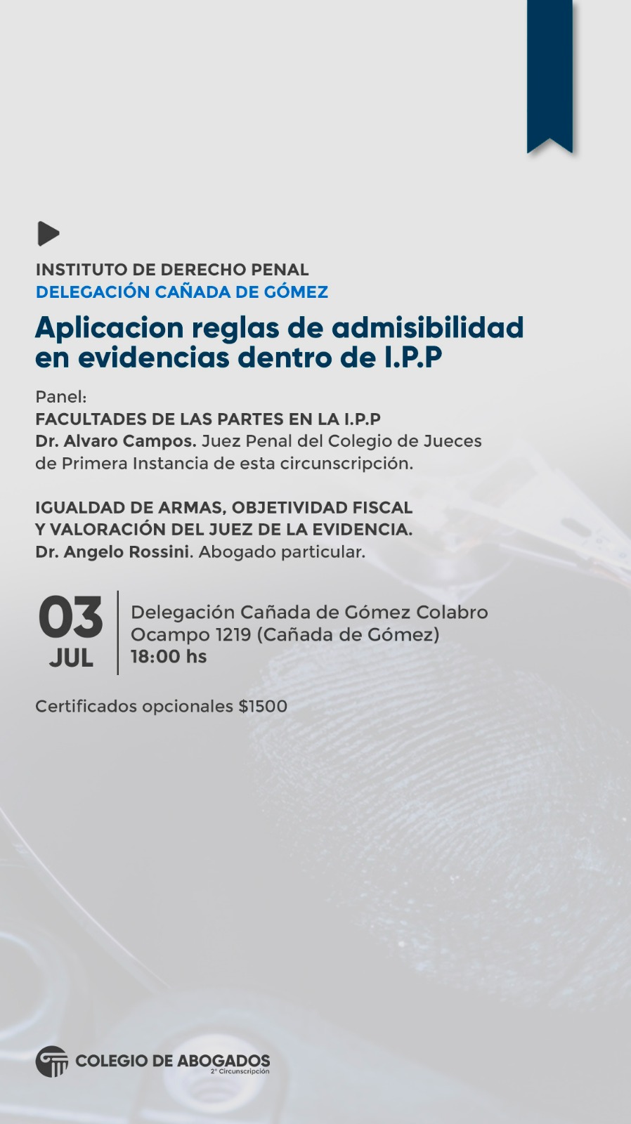 APLICACION REGLAS DE ADMISIBILIDAD EN EVIDENCIAS DENTRO DE I.P.P - 03/07/2024